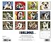 Bulldogs 2015 Calendar