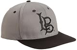 NCAA Unisex Adult Long Beach State 49Ers Primary Logo College Snap Back Team Hat (Grey, One Size)
