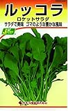 カネコ種苗 野菜タネハイクオリティ281 ルッコラ ロケットサラダ 10袋セット
