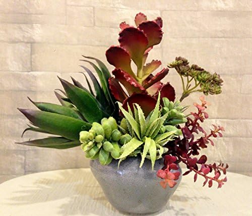 Agave, Kalanchoe, Jade Plant and Succulent Arrangement in Grey Glass Vase, Office Home Decor Accent for Gift, Handcrafted at the Floral mart