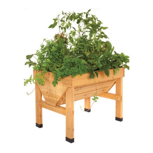 Trough Planter