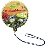 Produkt-Bild: Coppenraths Naturforscher-Drehscheibe: Wiesenblumen: (Verkaufseinheit)