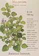 Sweet Marjoram Heirloom Seeds 400 Seeds