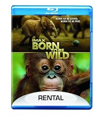 IMAX: Born to Be Wild (Blu-ray+DVD+UltraViolet Digital Copy Combo Pack)
