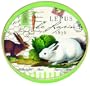 Michel Design 14-Inch Works Decoupage Wooden Round Tray, Bunnies