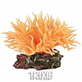 Eigenschaften Trixie  / See-Anemone, orange, 8 cm