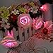 lychee Rose Fairy String Lights for Room Home Garden Christmas Party Decoration (Pink, 2.2m 20Leds)