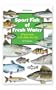 Sport Fish of Fresh Water