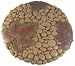Leaves and Pebbles Stepping Stone