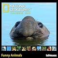 National Geographic Calendar: Funny Animals 2013 Mini-Brosch�renkalender