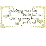 I'm Bringing Home A Baby Bumblebee Won't My Mommy Be So Proud Of Me! Removable Vinyl Wall Stickers Girls Room Baby Nursery Sayings Quote Bumble Honey Bee Bumblebees Girl Decor Decal Kids Graphics Art