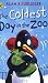 The Coldest Day in the Zoo