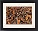 Framed Prints of JLMO-1924 STAR ANISE - close-up of seeds from Ardea Wildlife Pets