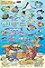 Turks & Caicos Coral Reef Creatures Guide Franko Maps Laminated Fish Card 4