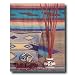 Southwestern Native Indian Pottery Picture Art Print #2