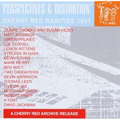 Perspectives and Distortion