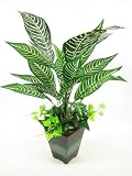 56cm Potted Artificial Silk Saffron Spike Zebra Plant ~ artificial plants Reviews 51QmV454MuL. SL160 56cm Potted Artificial Silk Saffron Spike Zebra Plant ~ artificial plants Reviews
