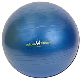 Natural Fitness 75cm Burst-Resistant Exercise Ball (Slate)