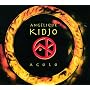 Agolo <a href="http://www.amazon.fr/Agolo/dp/artist-redirect/B002585VLI">Ang�lique Kidjo</a><span class="byLinePipe"> | </span><span class="byLinePipe">Format�:</span> T�l�chargement MP3
