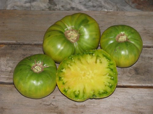Aunt Ruby German Green 4 Tomato Plants! Beefsteak!