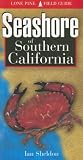 Seashore of Southern California (Lone Pine Field Guides)