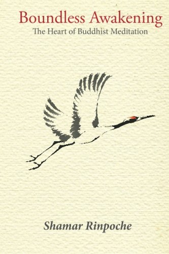 Boundless Awakening: The Heart of Buddhist Meditation