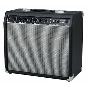 Fender 25 Watt Guitar Amplifier w/ Reverb: Musical Instruments