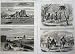1863 New Zealand Bream Head Sugar-Loaf Waireka Maories