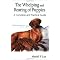 Dog Books We've Enjoyed!