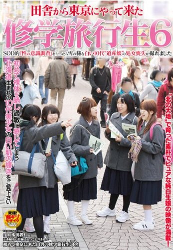 修学旅行生6 [DVD]
