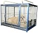 Aluminum Pet Travel Cage and Carrier for Birds, Dogs, and Cats 20 1/4