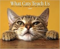 What Cats Teach Us 2009 Calendar From Willow Creek