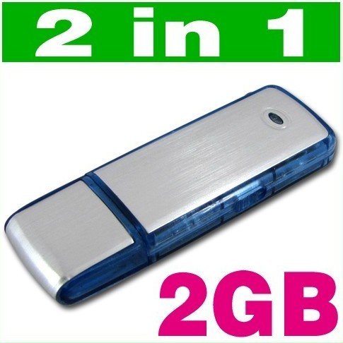 Mini 2GB Flash 2 in 1 Memory Stick USB Keychain Sensitive Digital WAV Voice Sound Audio Recorder 2 G