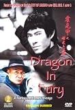 Dragon in Fury