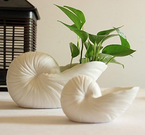 Fashionstorm Home Decor Porcelain Trumpet Shell Decorative Flower Pot (L)