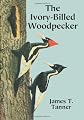 The Ivory-Billed Woodpecker