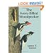 The Ivory-Billed Woodpecker (Dover Birds)