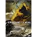Prom�th�e, Tome 1 : Atlantis