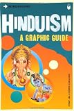 Introducing Hinduism: A Graphic Guide