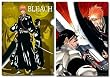 ブリーチ クリアファイル 【ジャンプフェスタ2012】 BLEACH ／ 久保帯人
