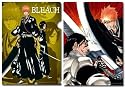 ブリーチ クリアファイル 【ジャンプフェスタ2012】 BLEACH / 久保帯人