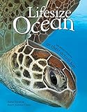 Lifesize ocean