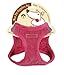 Voyager Step-In Plush Dog Harness – Soft Plush, Step In Vest Harness for Small and Medium Dogs by Best Pet Supplies - 1Fuchsia Corduroy, XL (Chest: 20.5 - 23