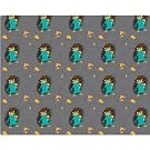 Childrens/Kids Phineas And Ferb Fleece Blanket/Bed Throw