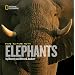 Face to Face With Elephants (Face to Face with Animals)