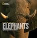 Face to Face With Elephants (Face to Face with Animals)