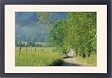 Framed Prints of USA, Tennessee, from Danita Delimont