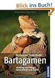 Bartagamen: Haltung und Pflege, Gesundheit und Zucht
