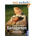 Bartagamen: Haltung und Pflege, Gesundheit und Zucht
