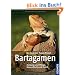 Bartagamen: Haltung und Pflege, Gesundheit und Zucht